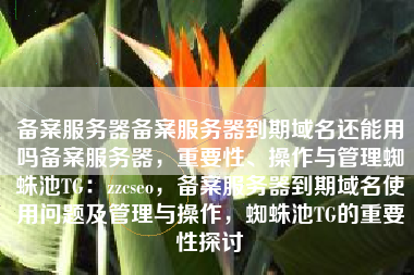 备案服务器备案服务器到期域名还能用吗备案服务器，重要性、操作与管理蜘蛛池TG：zzcseo，备案服务器到期域名使用问题及管理与操作，蜘蛛池TG的重要性探讨