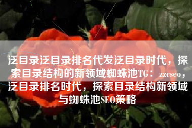 泛目录泛目录排名代发泛目录时代，探索目录结构的新领域蜘蛛池TG：zzcseo，泛目录排名时代，探索目录结构新领域与蜘蛛池SEO策略