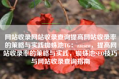 网站收录网站收录查询提高网站收录率的策略与实践蜘蛛池TG：zzcseo，提高网站收录率的策略与实践，蜘蛛池SEO技巧与网站收录查询指南