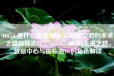 IDCidc是什么意思啊IDC，数据中心的未来之路蜘蛛池TG：zzcseo，IDC的未来之路，数据中心与蜘蛛池TG的角色解读