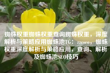 蜘蛛权重蜘蛛权重查询蜘蛛权重，深度解析与策略应用蜘蛛池TG：zzcseo，蜘蛛权重深度解析与策略应用，查询、解析及蜘蛛池SEO技巧