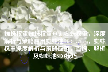 蜘蛛权重蜘蛛权重查询蜘蛛权重，深度解析与策略应用蜘蛛池TG：zzcseo，蜘蛛权重深度解析与策略应用，查询、解析及蜘蛛池SEO技巧