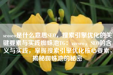 seoseo是什么意思SEO，搜索引擎优化的关键要素与实践蜘蛛池TG：zzcseo，SEO的含义与实践，掌握搜索引擎优化核心要素，揭秘蜘蛛池的秘密