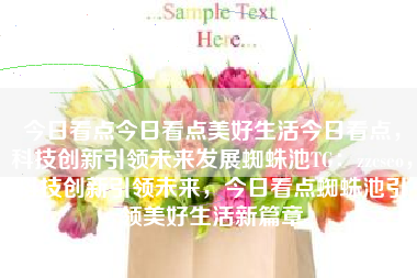 今日看点今日看点美好生活今日看点，科技创新引领未来发展蜘蛛池TG：zzcseo，科技创新引领未来，今日看点蜘蛛池引领美好生活新篇章