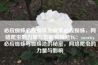 必应蜘蛛必应蜘蛛池探索必应蜘蛛，网络爬虫的力量与影响蜘蛛池TG：zzcseo，必应蜘蛛与蜘蛛池的秘密，网络爬虫的力量与影响