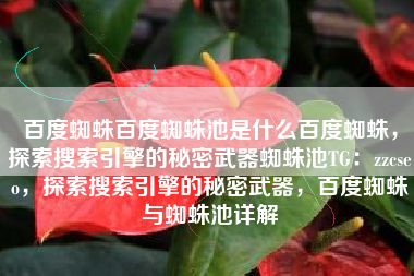 百度蜘蛛百度蜘蛛池是什么百度蜘蛛，探索搜索引擎的秘密武器蜘蛛池TG：zzcseo，探索搜索引擎的秘密武器，百度蜘蛛与蜘蛛池详解