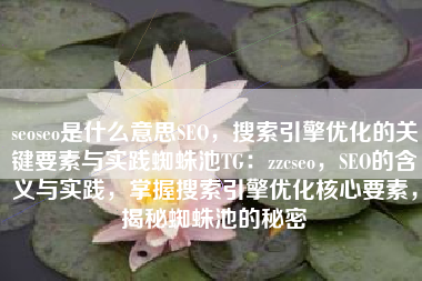seoseo是什么意思SEO，搜索引擎优化的关键要素与实践蜘蛛池TG：zzcseo，SEO的含义与实践，掌握搜索引擎优化核心要素，揭秘蜘蛛池的秘密