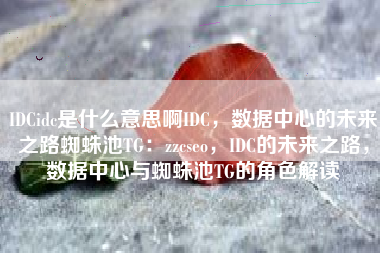 IDCidc是什么意思啊IDC，数据中心的未来之路蜘蛛池TG：zzcseo，IDC的未来之路，数据中心与蜘蛛池TG的角色解读