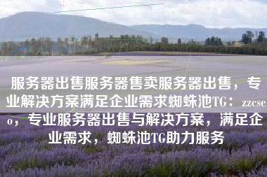 服务器出售服务器售卖服务器出售，专业解决方案满足企业需求蜘蛛池TG：zzcseo，专业服务器出售与解决方案，满足企业需求，蜘蛛池TG助力服务