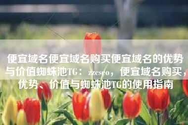 便宜域名便宜域名购买便宜域名的优势与价值蜘蛛池TG：zzcseo，便宜域名购买，优势、价值与蜘蛛池TG的使用指南