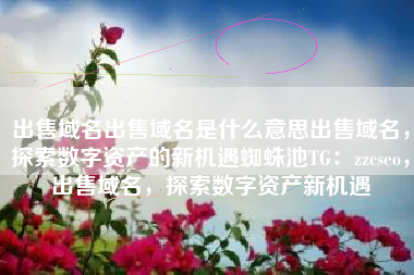 出售域名出售域名是什么意思出售域名，探索数字资产的新机遇蜘蛛池TG：zzcseo，出售域名，探索数字资产新机遇