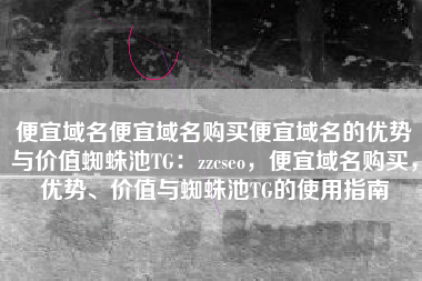 便宜域名便宜域名购买便宜域名的优势与价值蜘蛛池TG：zzcseo，便宜域名购买，优势、价值与蜘蛛池TG的使用指南