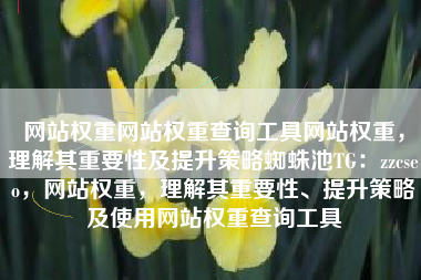 网站权重网站权重查询工具网站权重，理解其重要性及提升策略蜘蛛池TG：zzcseo，网站权重，理解其重要性、提升策略及使用网站权重查询工具