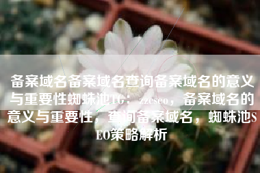 备案域名备案域名查询备案域名的意义与重要性蜘蛛池TG：zzcseo，备案域名的意义与重要性，查询备案域名，蜘蛛池SEO策略解析