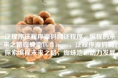 泛程序泛程序源码网泛程序，编程的未来之路蜘蛛池TG：zzcseo，泛程序源码网，探索编程未来之路，蜘蛛池TG助力发展