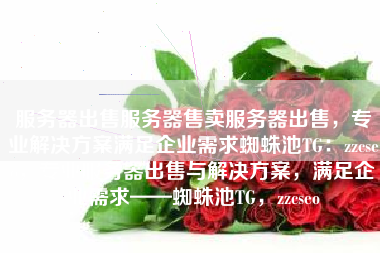 服务器出售服务器售卖服务器出售，专业解决方案满足企业需求蜘蛛池TG：zzcseo，专业服务器出售与解决方案，满足企业需求——蜘蛛池TG，zzcseo