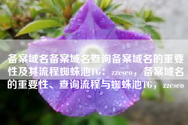 备案域名备案域名查询备案域名的重要性及其流程蜘蛛池TG：zzcseo，备案域名的重要性、查询流程与蜘蛛池TG，zzcseo