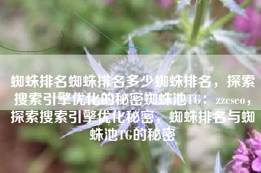 蜘蛛排名蜘蛛排名多少蜘蛛排名，探索搜索引擎优化的秘密蜘蛛池TG：zzcseo，探索搜索引擎优化秘密，蜘蛛排名与蜘蛛池TG的秘密