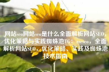 网站seo网站seo是什么全面解析网站SEO，优化策略与实践蜘蛛池TG：zzcseo，全面解析网站SEO，优化策略、实践及蜘蛛池技术指南