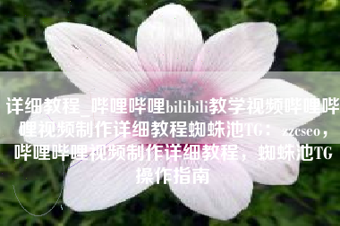 详细教程_哔哩哔哩bilibili教学视频哔哩哔哩视频制作详细教程蜘蛛池TG：zzcseo，哔哩哔哩视频制作详细教程，蜘蛛池TG操作指南