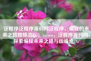泛程序泛程序源码网泛程序，编程的未来之路蜘蛛池TG：zzcseo，泛程序源码网，探索编程未来之路与蜘蛛池TG
