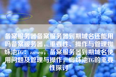 备案服务器备案服务器到期域名还能用吗备案服务器，重要性、操作与管理蜘蛛池TG：zzcseo，备案服务器到期域名使用问题及管理与操作，蜘蛛池TG的重要性探讨