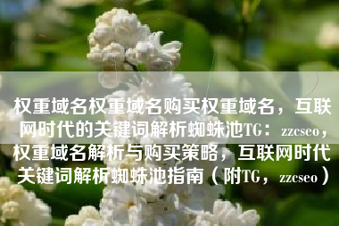 权重域名权重域名购买权重域名，互联网时代的关键词解析蜘蛛池TG：zzcseo，权重域名解析与购买策略，互联网时代关键词解析蜘蛛池指南（附TG，zzcseo）
