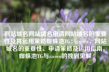 网站域名网站域名申请网站域名的重要性及其运用策略蜘蛛池TG：zzcseo，网站域名的重要性、申请策略及运用指南，蜘蛛池TG与zzcseo的独到见解