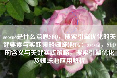 seoseo是什么意思SEO，搜索引擎优化的关键要素与实践策略蜘蛛池TG：zzcseo，SEO的含义与关键实践策略，搜索引擎优化及蜘蛛池应用解析