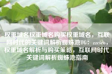 权重域名权重域名购买权重域名，互联网时代的关键词解析蜘蛛池TG：zzcseo，权重域名解析与购买策略，互联网时代关键词解析蜘蛛池指南