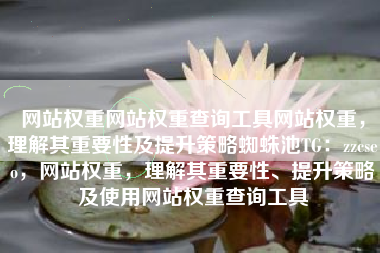 网站权重网站权重查询工具网站权重，理解其重要性及提升策略蜘蛛池TG：zzcseo，网站权重，理解其重要性、提升策略及使用网站权重查询工具