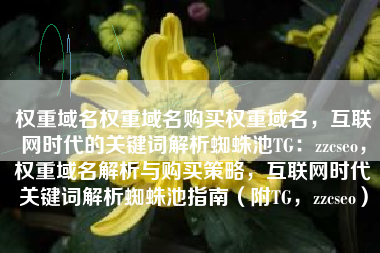 权重域名权重域名购买权重域名，互联网时代的关键词解析蜘蛛池TG：zzcseo，权重域名解析与购买策略，互联网时代关键词解析蜘蛛池指南（附TG，zzcseo）