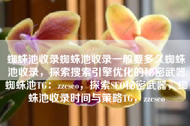 蜘蛛池收录蜘蛛池收录一般要多久蜘蛛池收录，探索搜索引擎优化的秘密武器蜘蛛池TG：zzcseo，探索SEO秘密武器，蜘蛛池收录时间与策略TG，zzcseo