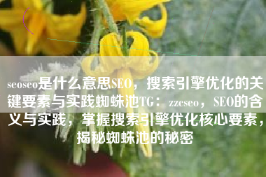 seoseo是什么意思SEO，搜索引擎优化的关键要素与实践蜘蛛池TG：zzcseo，SEO的含义与实践，掌握搜索引擎优化核心要素，揭秘蜘蛛池的秘密