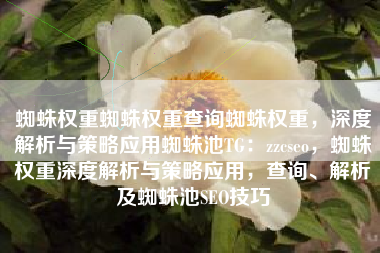 蜘蛛权重蜘蛛权重查询蜘蛛权重，深度解析与策略应用蜘蛛池TG：zzcseo，蜘蛛权重深度解析与策略应用，查询、解析及蜘蛛池SEO技巧