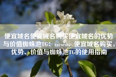 便宜域名便宜域名购买便宜域名的优势与价值蜘蛛池TG：zzcseo，便宜域名购买，优势、价值与蜘蛛池TG的使用指南