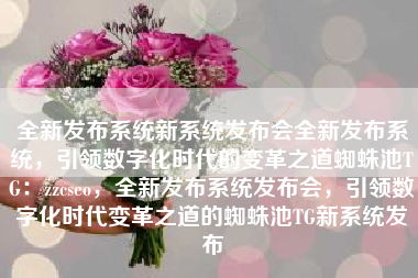 全新发布系统新系统发布会全新发布系统，引领数字化时代的变革之道蜘蛛池TG：zzcseo，全新发布系统发布会，引领数字化时代变革之道的蜘蛛池TG新系统发布
