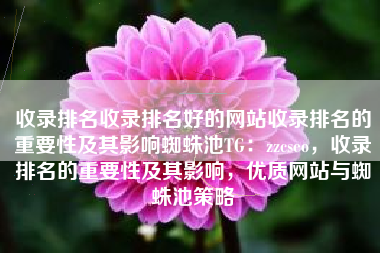 收录排名收录排名好的网站收录排名的重要性及其影响蜘蛛池TG：zzcseo，收录排名的重要性及其影响，优质网站与蜘蛛池策略