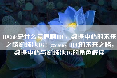 IDCidc是什么意思啊IDC，数据中心的未来之路蜘蛛池TG：zzcseo，IDC的未来之路，数据中心与蜘蛛池TG的角色解读