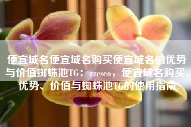 便宜域名便宜域名购买便宜域名的优势与价值蜘蛛池TG：zzcseo，便宜域名购买，优势、价值与蜘蛛池TG的使用指南