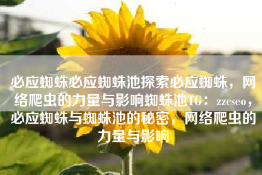 必应蜘蛛必应蜘蛛池探索必应蜘蛛，网络爬虫的力量与影响蜘蛛池TG：zzcseo，必应蜘蛛与蜘蛛池的秘密，网络爬虫的力量与影响