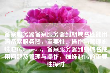备案服务器备案服务器到期域名还能用吗备案服务器，重要性、操作与管理蜘蛛池TG：zzcseo，备案服务器到期域名使用问题及管理与操作，蜘蛛池TG的重要性探讨