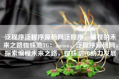 泛程序泛程序源码网泛程序，编程的未来之路蜘蛛池TG：zzcseo，泛程序源码网，探索编程未来之路，蜘蛛池TG助力发展