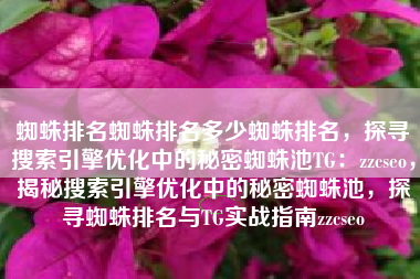 蜘蛛排名蜘蛛排名多少蜘蛛排名，探寻搜索引擎优化中的秘密蜘蛛池TG：zzcseo，揭秘搜索引擎优化中的秘密蜘蛛池，探寻蜘蛛排名与TG实战指南zzcseo