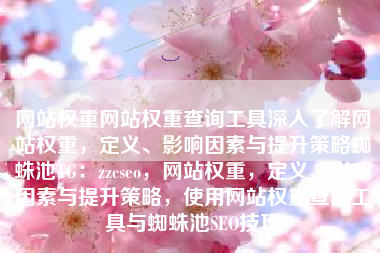 网站权重网站权重查询工具深入了解网站权重，定义、影响因素与提升策略蜘蛛池TG：zzcseo，网站权重，定义、影响因素与提升策略，使用网站权重查询工具与蜘蛛池SEO技巧