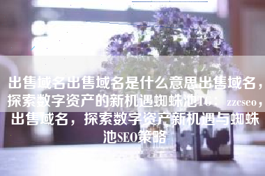 出售域名出售域名是什么意思出售域名，探索数字资产的新机遇蜘蛛池TG：zzcseo，出售域名，探索数字资产新机遇与蜘蛛池SEO策略