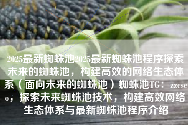 2025最新蜘蛛池2025最新蜘蛛池程序探索未来的蜘蛛池，构建高效的网络生态体系（面向未来的蜘蛛池）蜘蛛池TG：zzcseo，探索未来蜘蛛池技术，构建高效网络生态体系与最新蜘蛛池程序介绍
