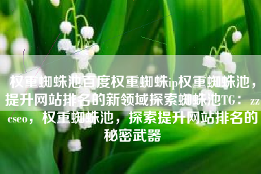 权重蜘蛛池百度权重蜘蛛ip权重蜘蛛池，提升网站排名的新领域探索蜘蛛池TG：zzcseo，权重蜘蛛池，探索提升网站排名的秘密武器