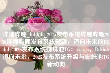 哔哩哔哩_bilibili_2025发布系统哔哩哔哩2050哔哩哔哩发布系统升级，迈向未来的Bilibili 2025发布系统蜘蛛池TG：zzcseo，Bilibili迈向未来，2025发布系统升级与蜘蛛池TG新动向