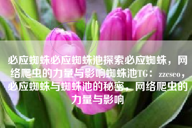 必应蜘蛛必应蜘蛛池探索必应蜘蛛，网络爬虫的力量与影响蜘蛛池TG：zzcseo，必应蜘蛛与蜘蛛池的秘密，网络爬虫的力量与影响